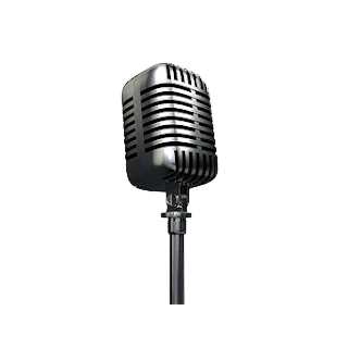 What Can I Sing logo